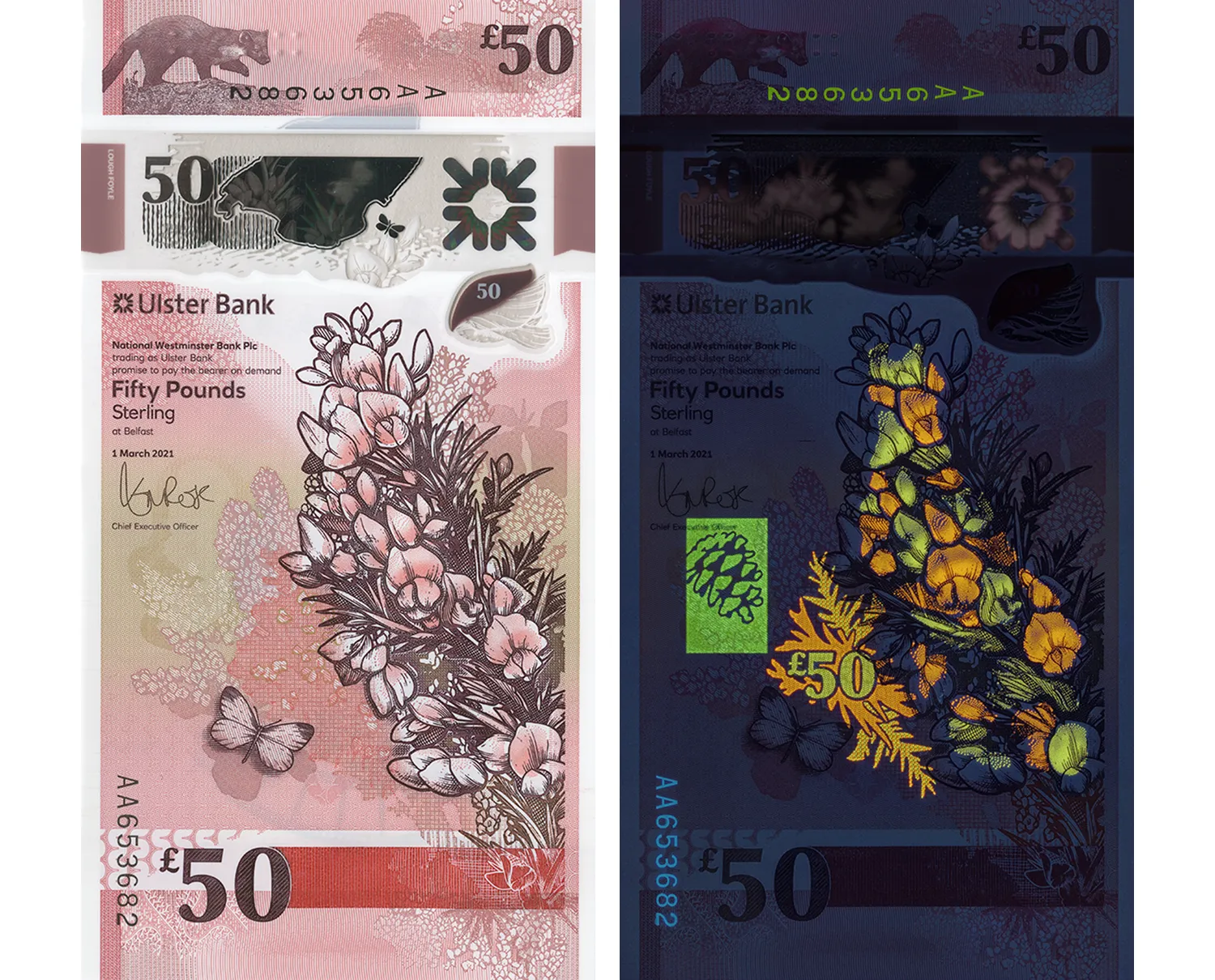 Northern Ireland pound of the 2021 series